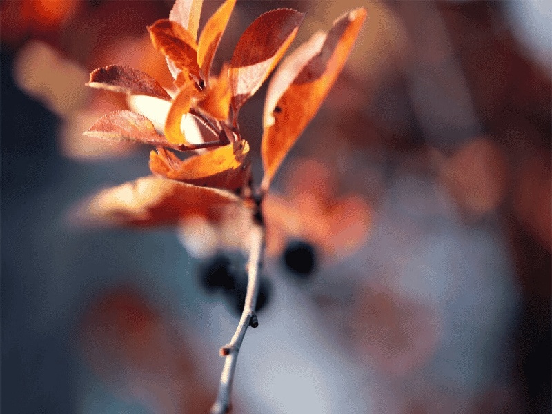 抽血试管盒子图片查不孕不育费用女生殖中心试管咨询