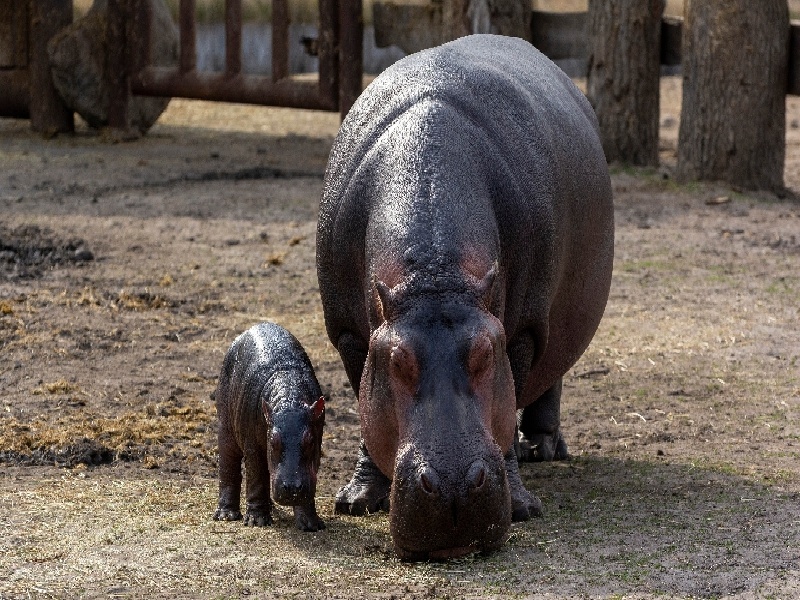医用取尿试管不动精可以试管用什么胶粘试管